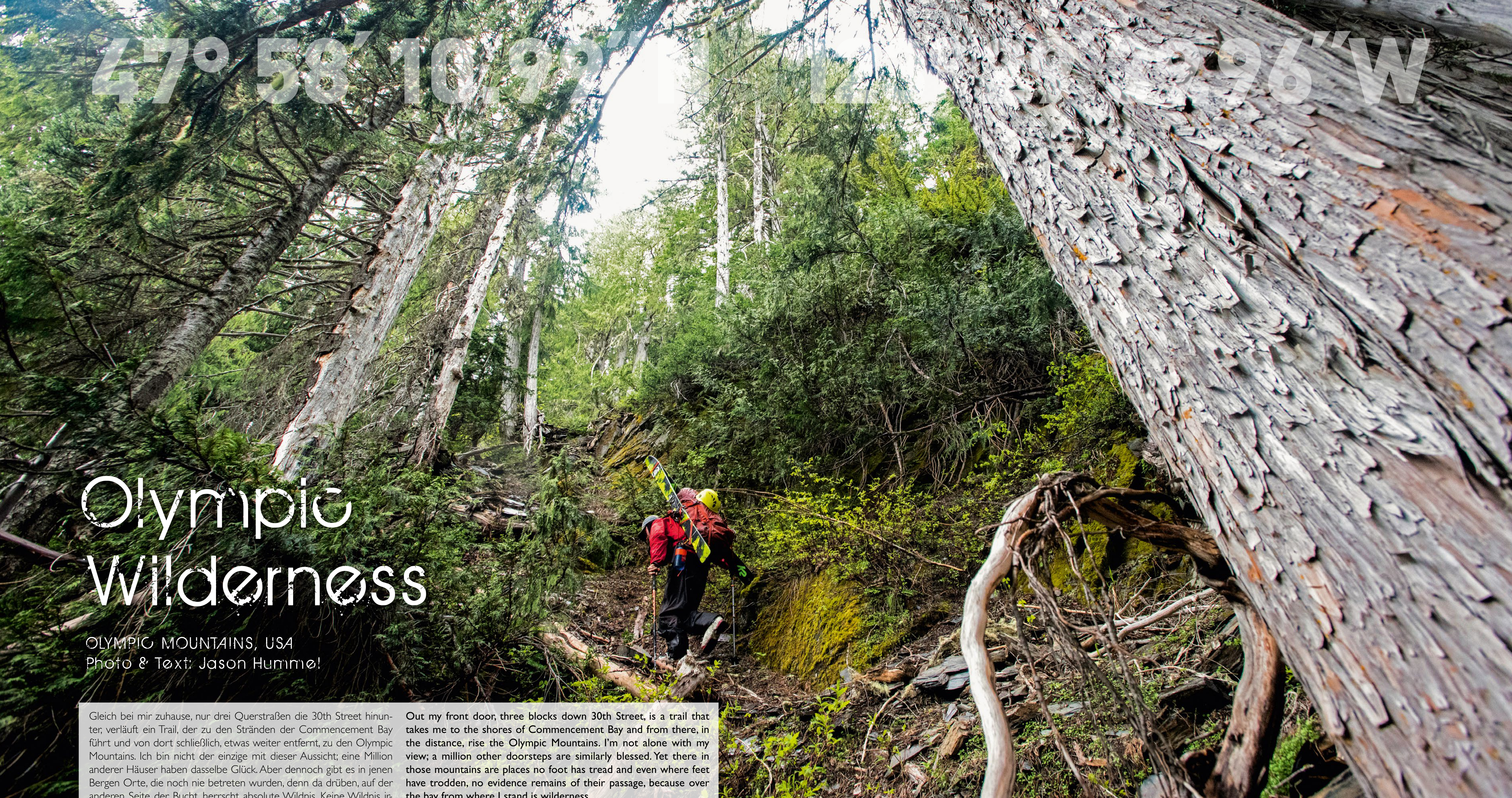 Olympic Wilderness