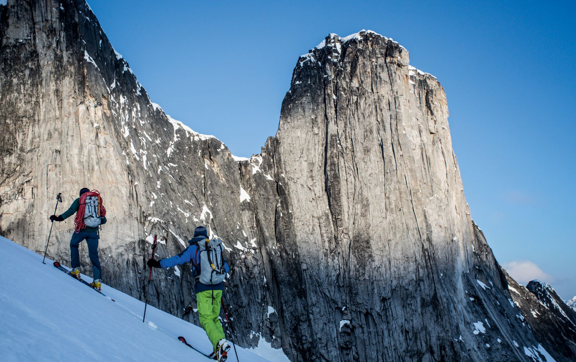 Journey into the Wild