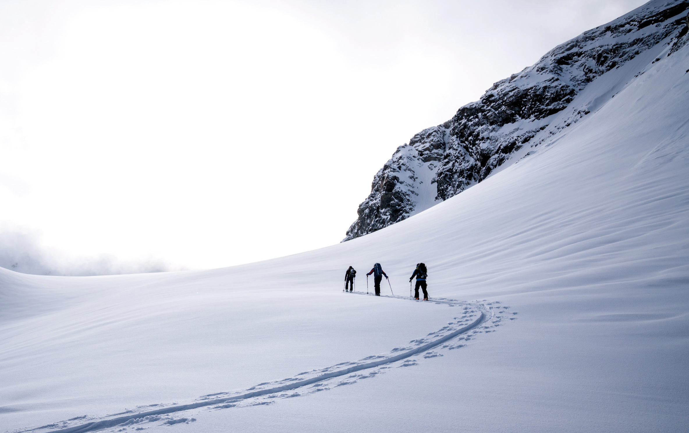 Whiteout