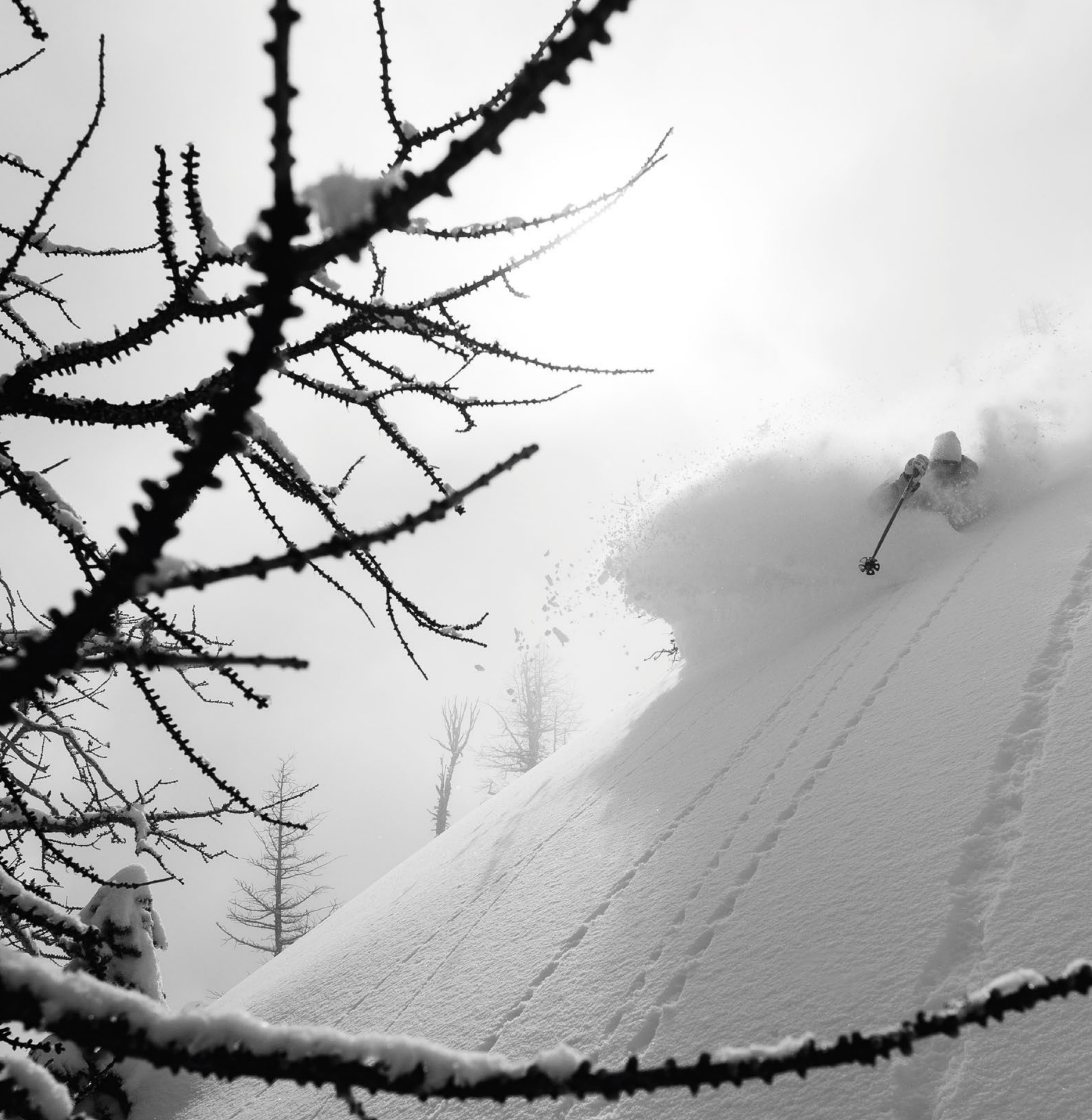 A Cascadian Legend