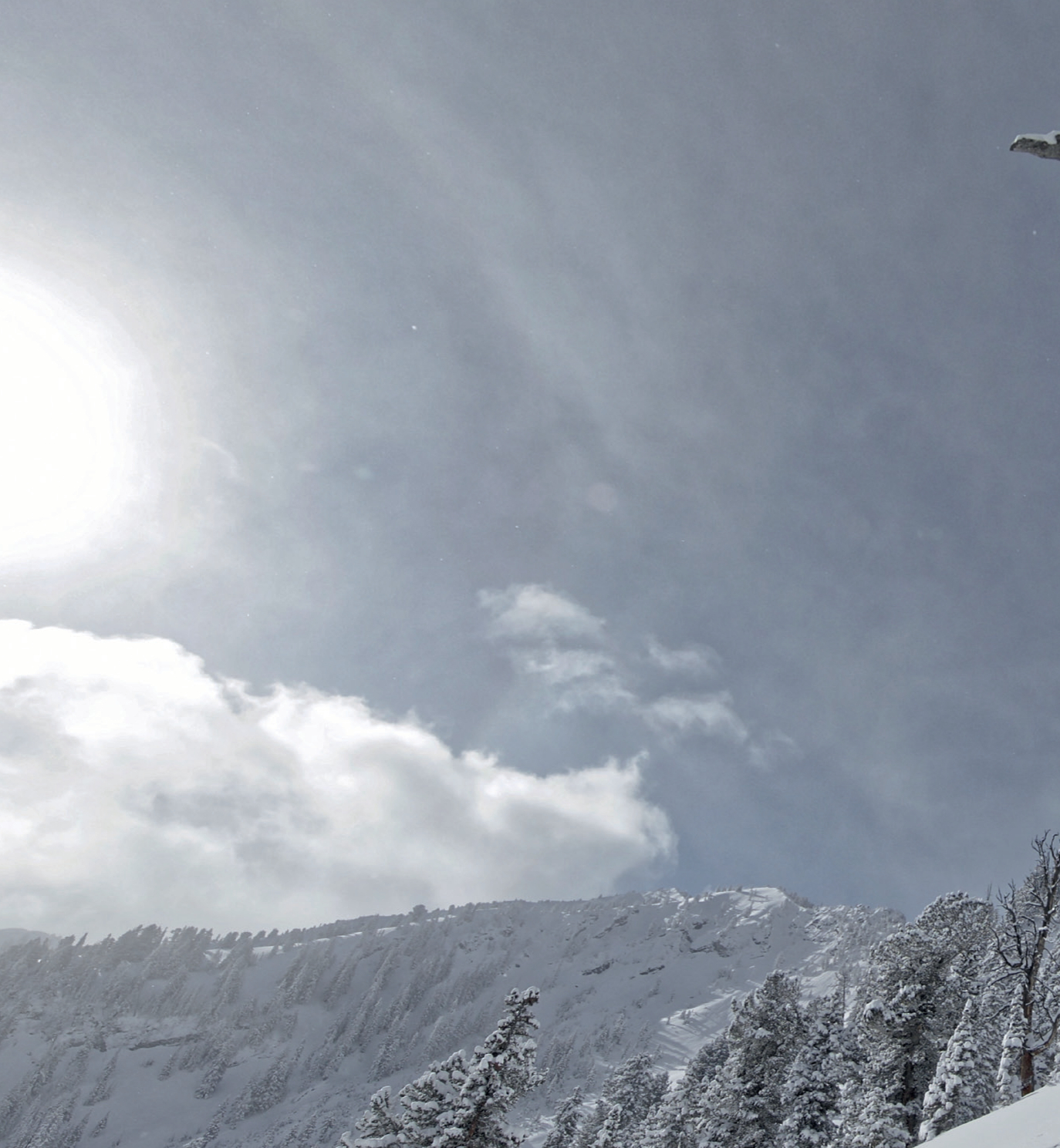 The Roots of Backcountry Skiing’s DNA