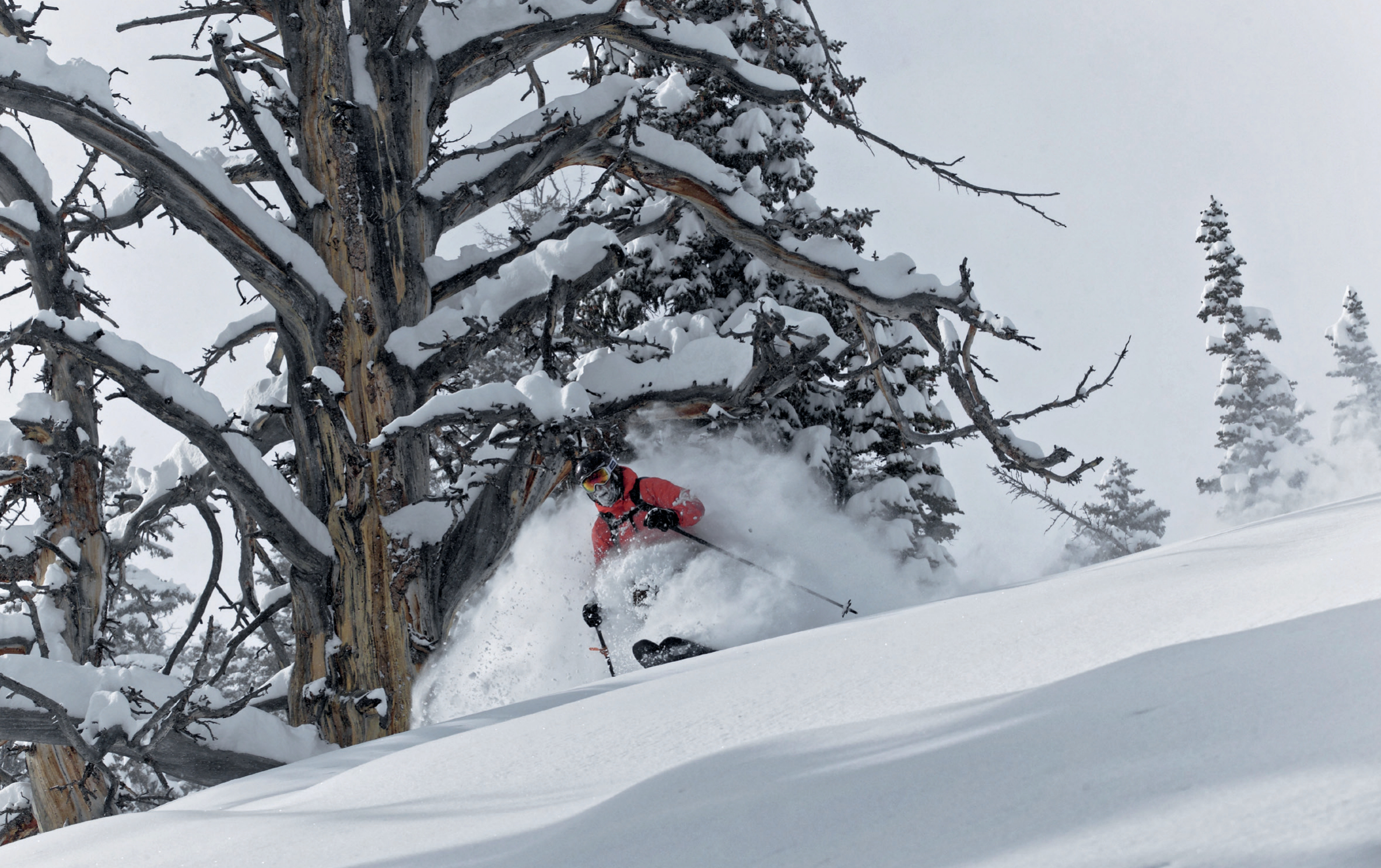 The Roots of Backcountry Skiing’s DNA