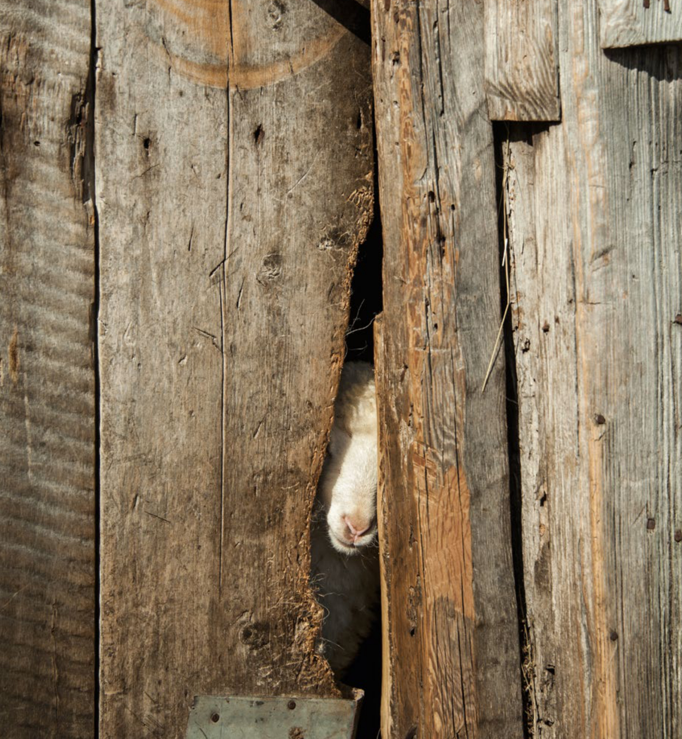 A Hamlet in Albania