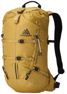 GREGORY Alpinisto 20
