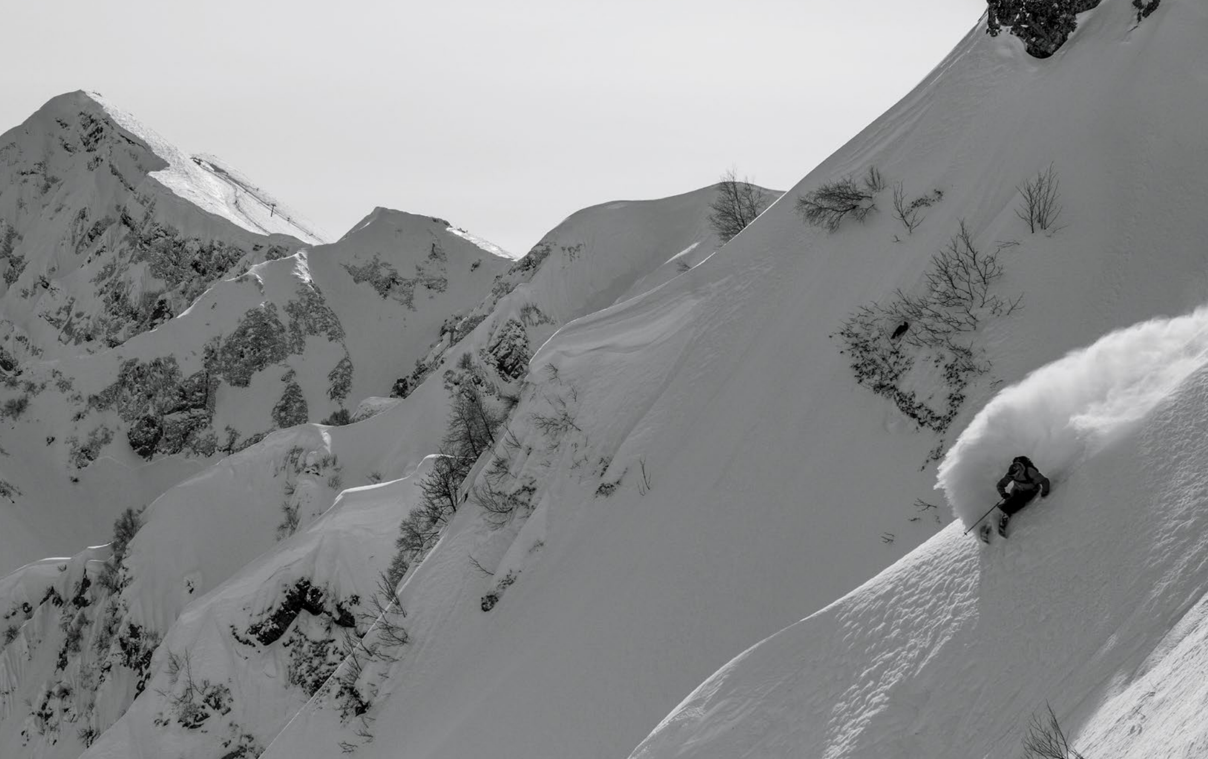 Olympic Powder
