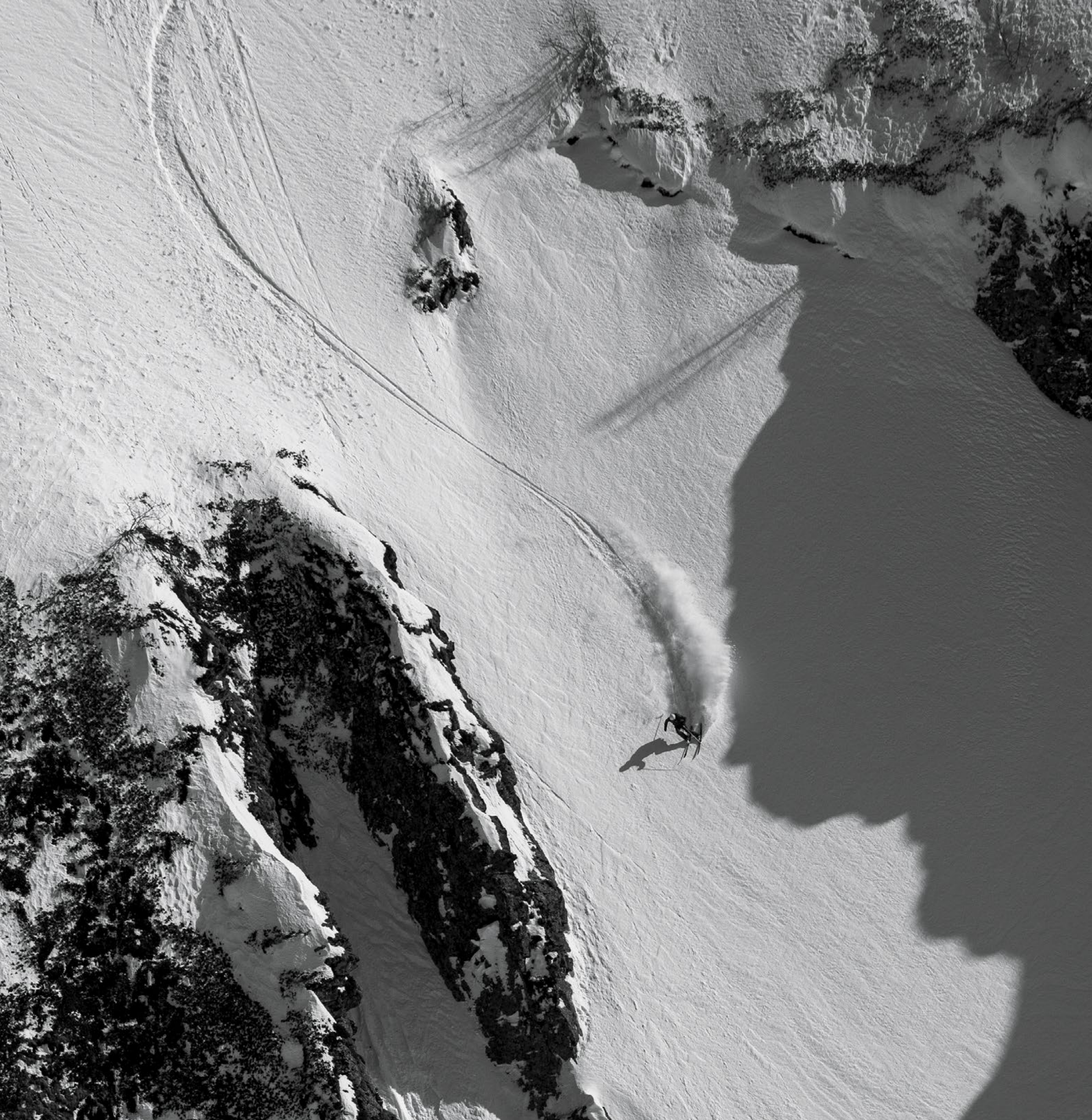 Olympic Powder