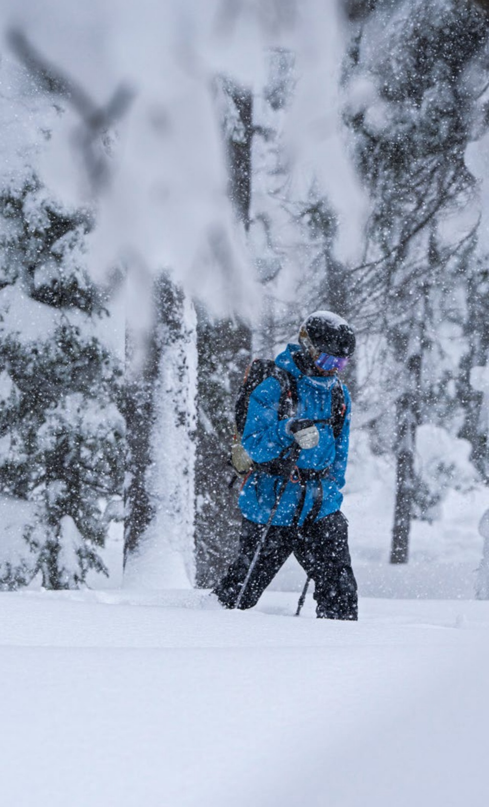 Epic Powder