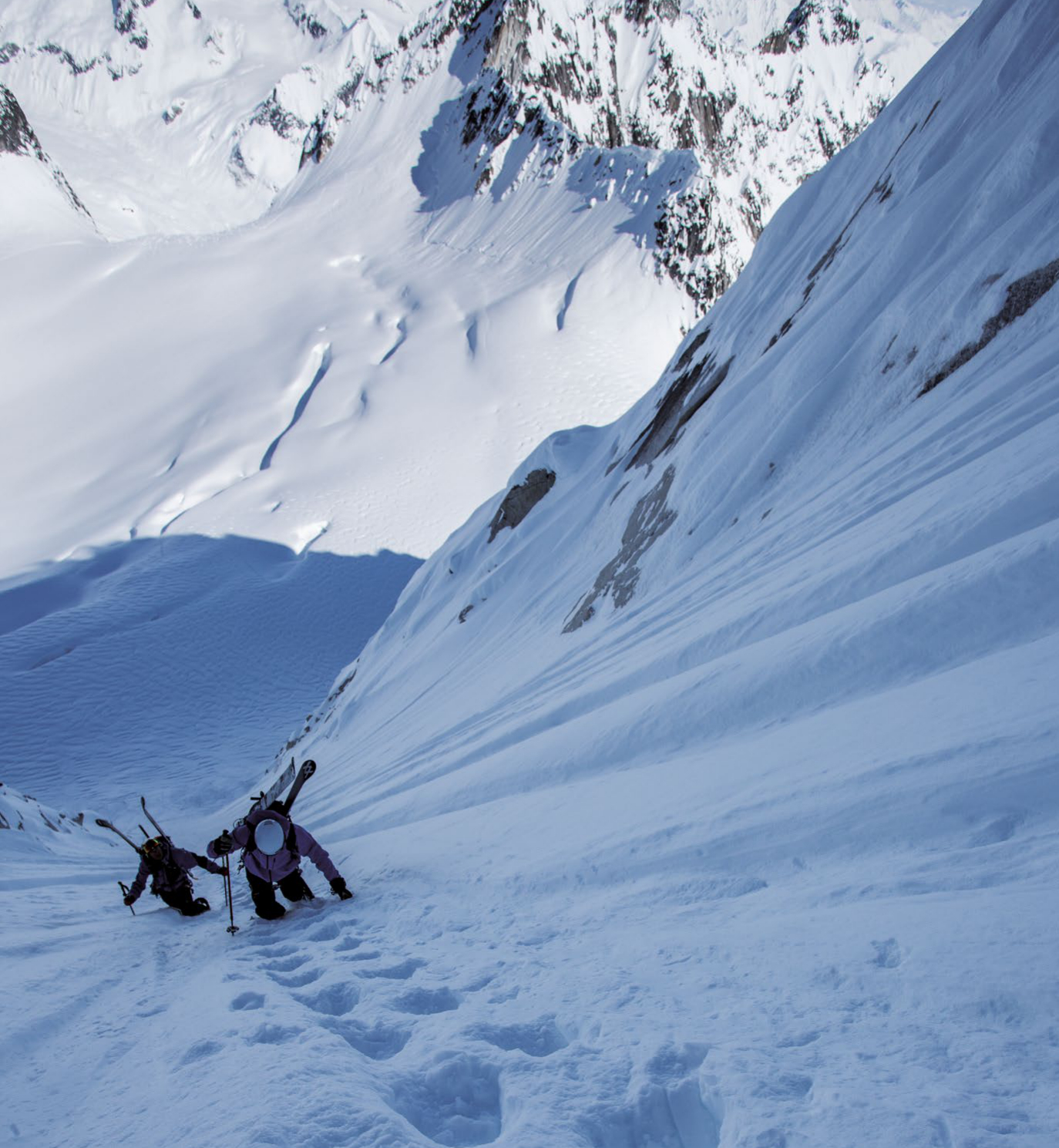 "Free Range" in Denali National Park