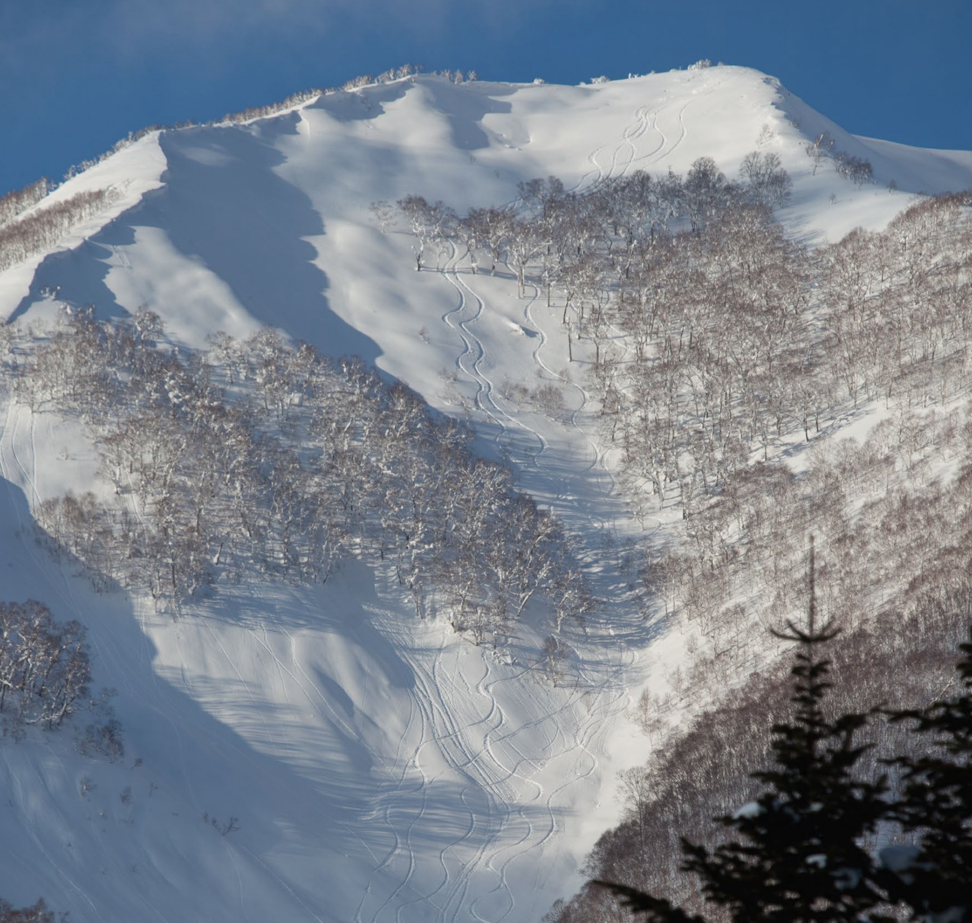 Hokkaido