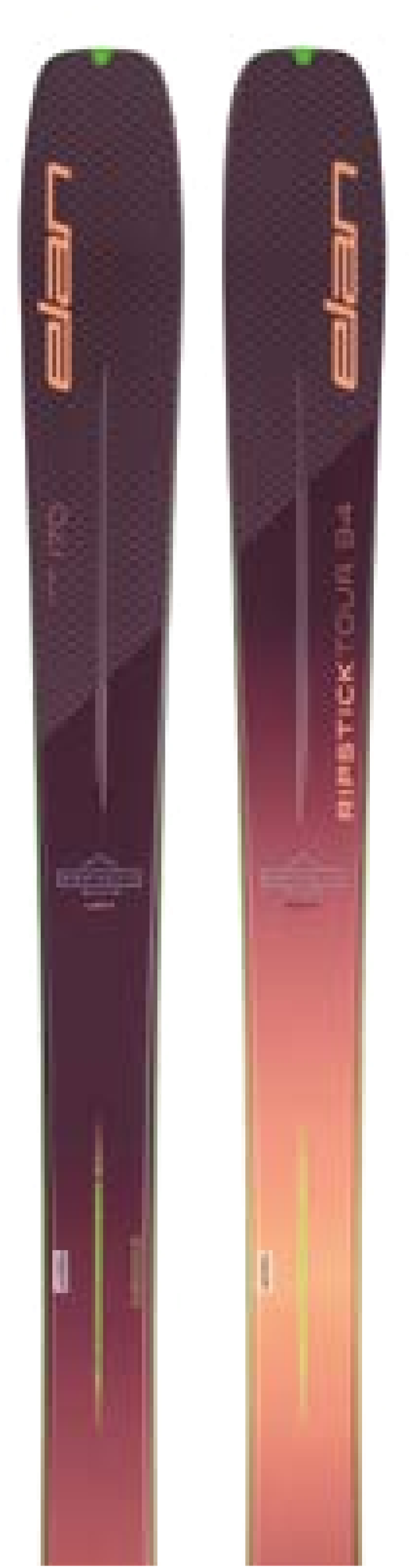 ELAN Ripstick Tour 94 W